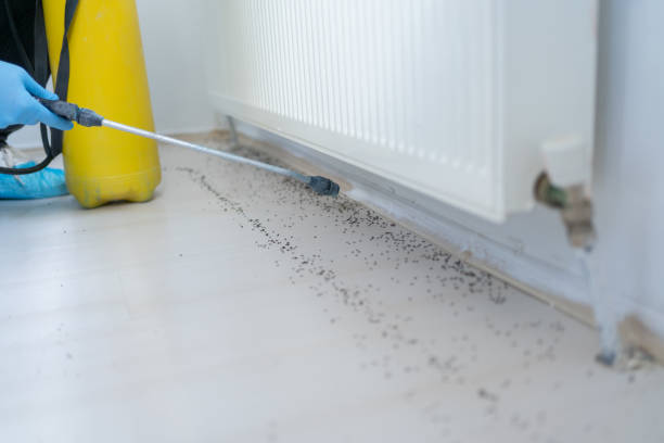 Professional Pest Control in Caro, MI